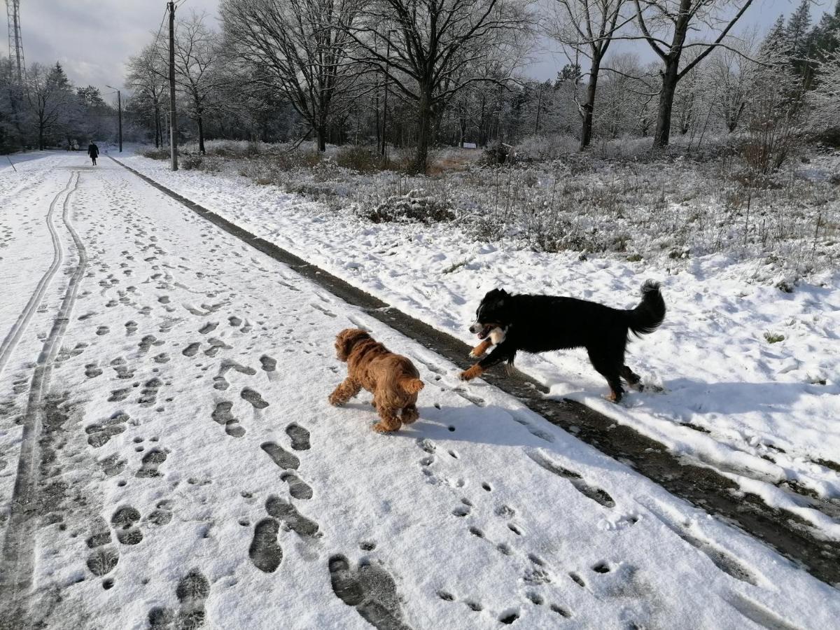 Willa Au Repos De Zoe Waulsort Zewnętrze zdjęcie